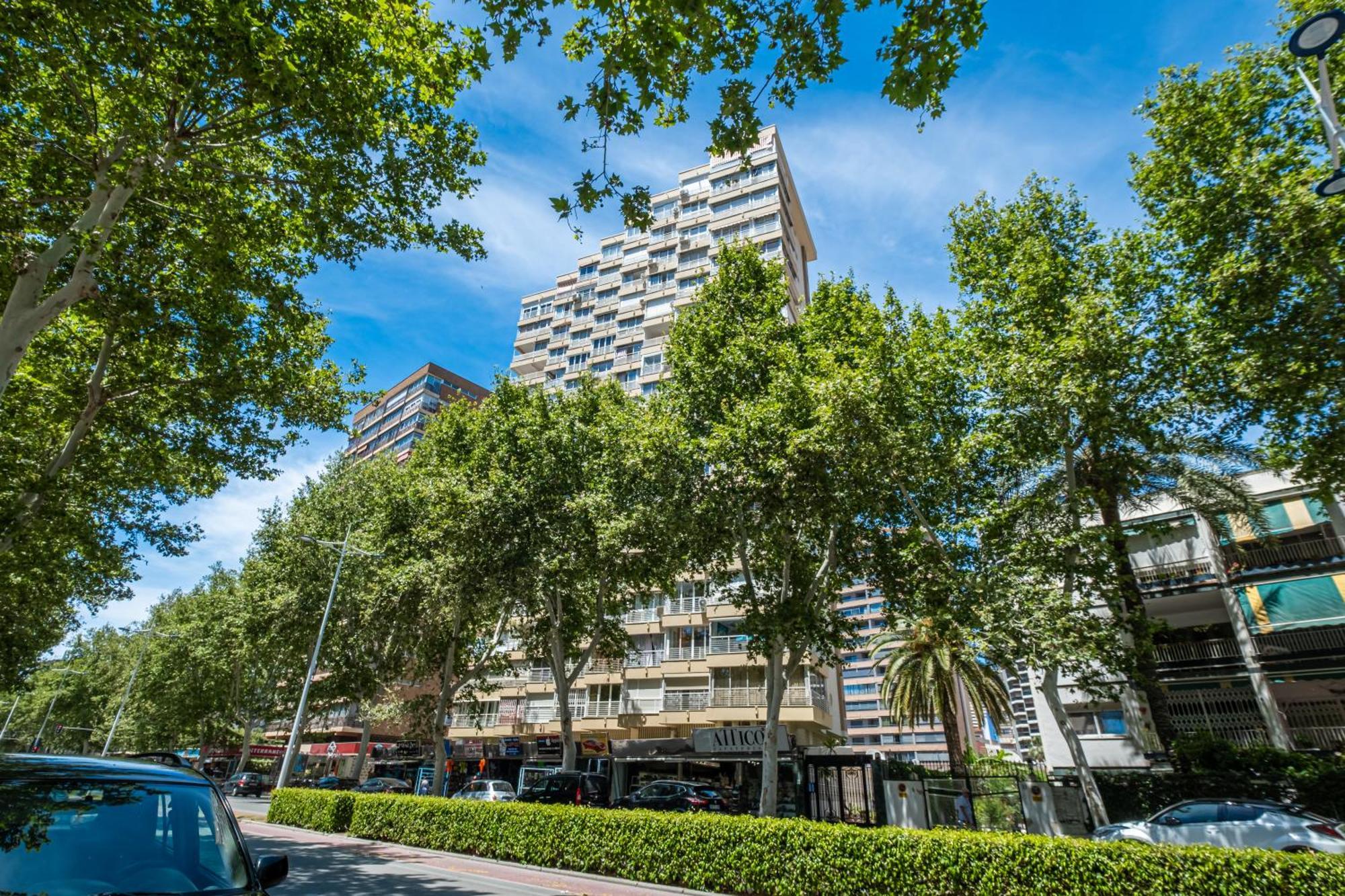 Los Caballos 12-C Benidorm Exterior foto